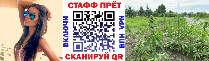 Купить наркотики Ртищево kraken зеркало  Кокаин  Меф  СК  АМФ  Канабис  Гашиш 