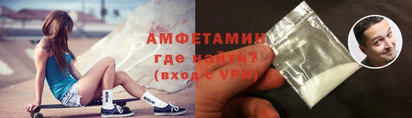 прущие грибы Пестово