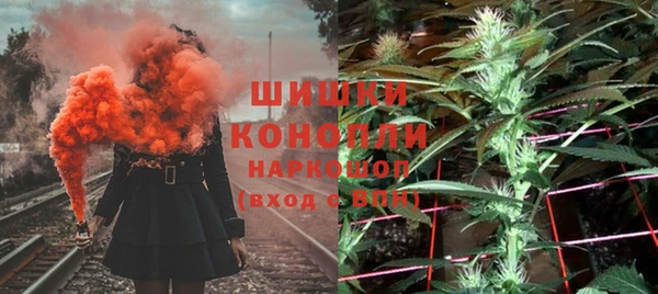 ГАЛЛЮЦИНОГЕННЫЕ ГРИБЫ Вуктыл