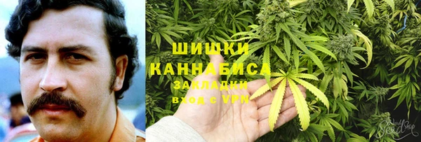 ГАЛЛЮЦИНОГЕННЫЕ ГРИБЫ Вуктыл