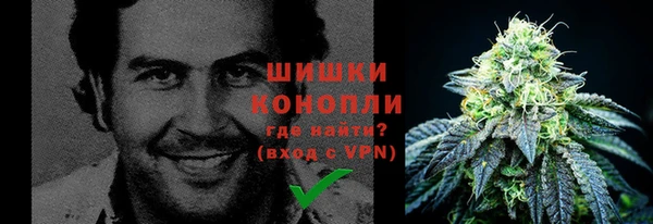 прущие грибы Пестово