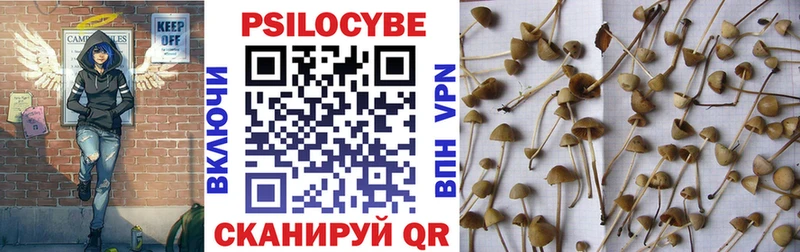 Псилоцибиновые грибы Magic Shrooms  это состав  Ртищево  где купить наркотик 