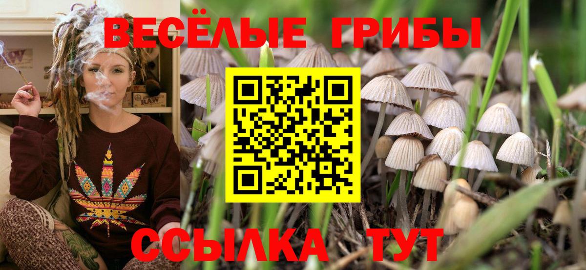 А ПВП Ртищево