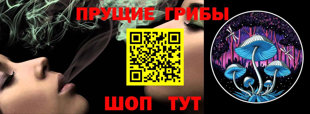 Псилоцибиновые грибы Psilocybe  что такое   Ртищево 